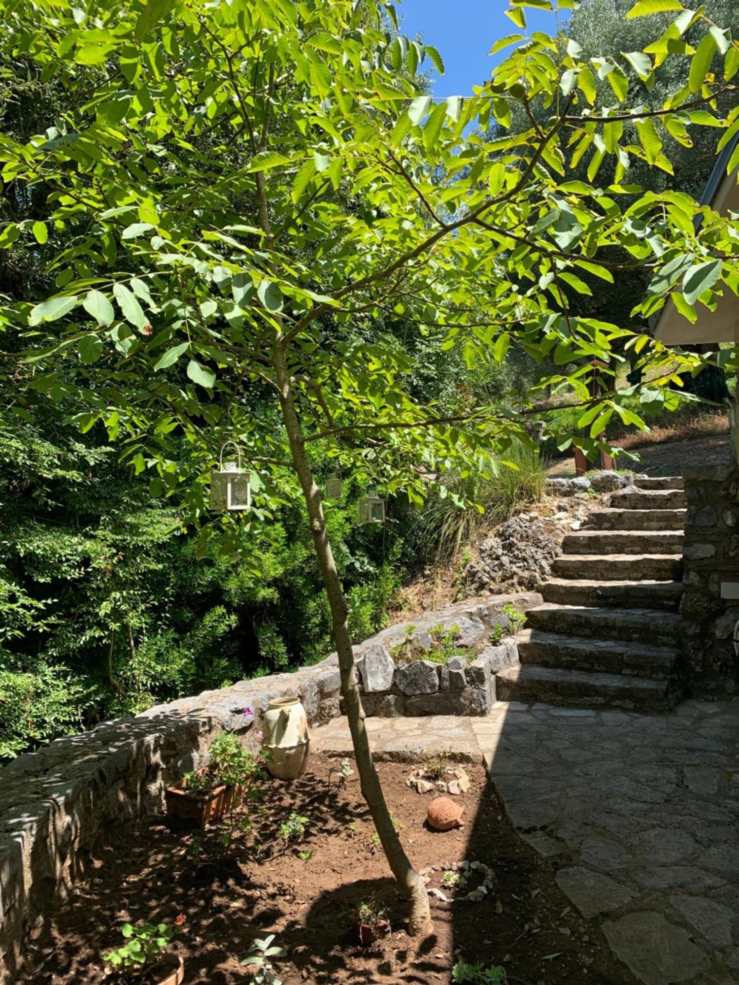 I Suoni Di Valle Martina Poderia Exterior foto